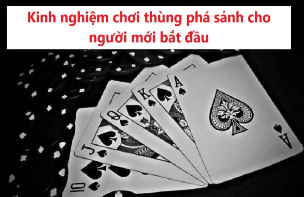 Kinh nghiệm chơi thùng phá sảnh cho người mới bắt đầu