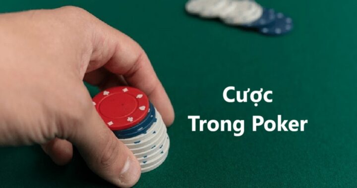 Các Cách Cược Trong Poker