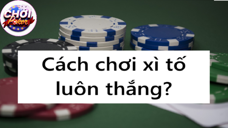 Cách chơi xì tố luôn thắng cho người mới bắt đầu