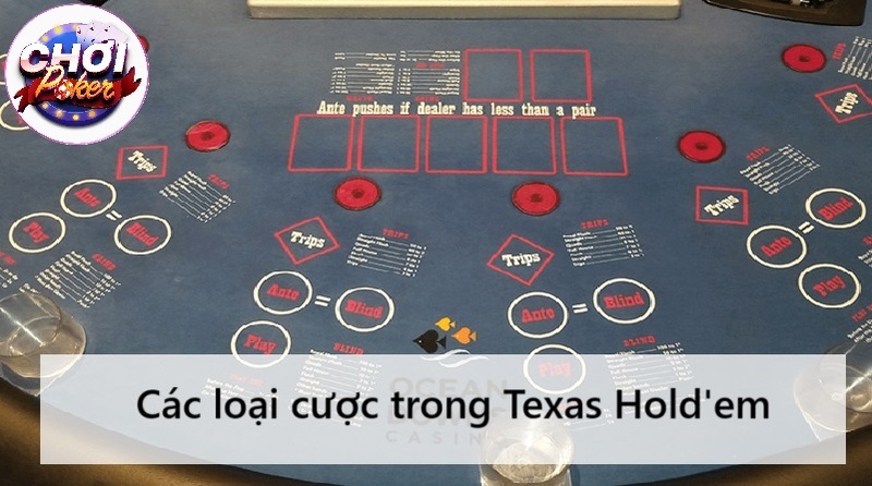 các loại cược trong Texas Hold'em
